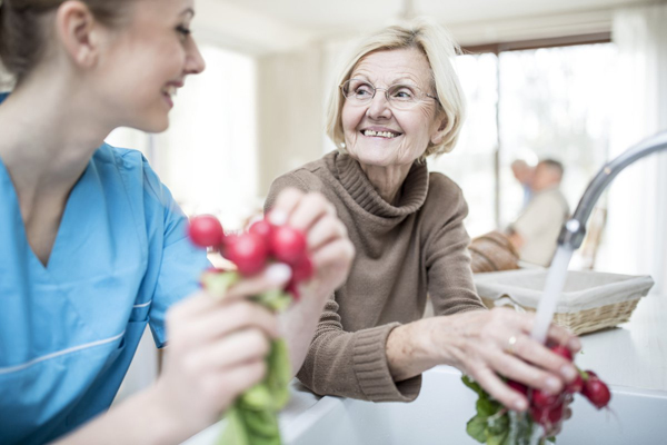 Nursing Home Transition and Diversion Program